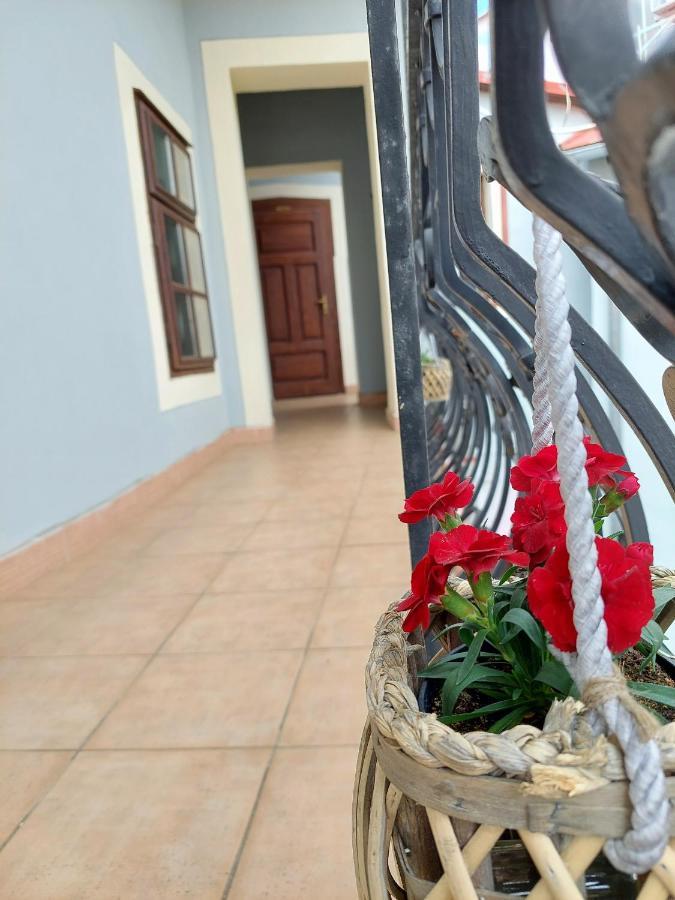 Hotel Salamander - Garni Banská Štiavnica Екстериор снимка